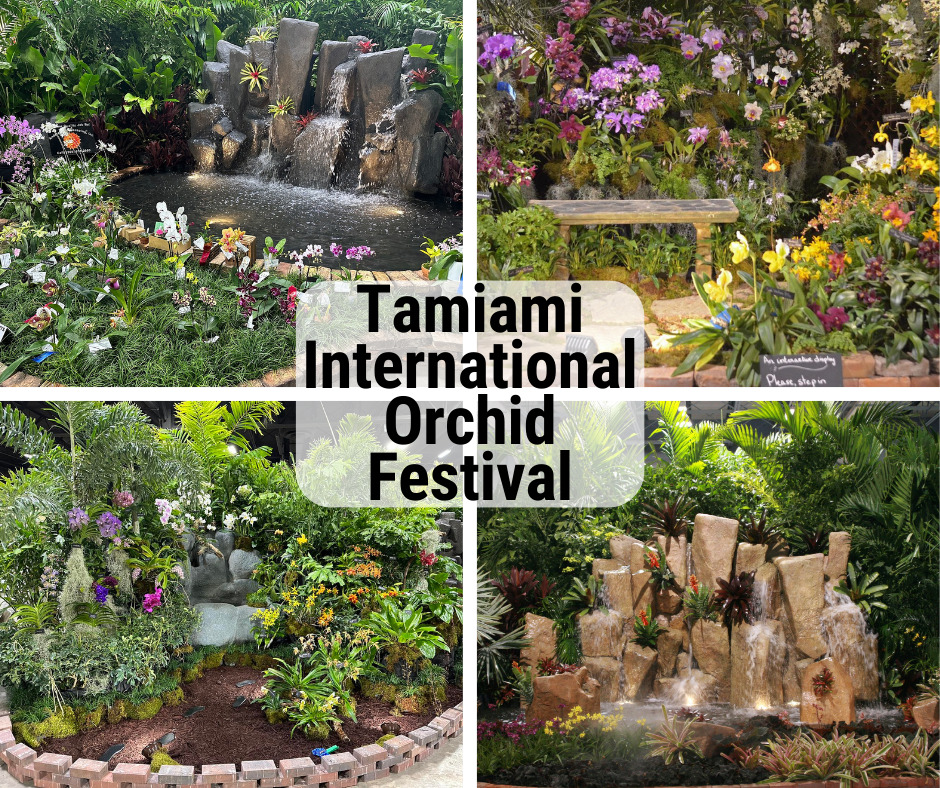 Tamiami International Orchid Festival in Miami, FL