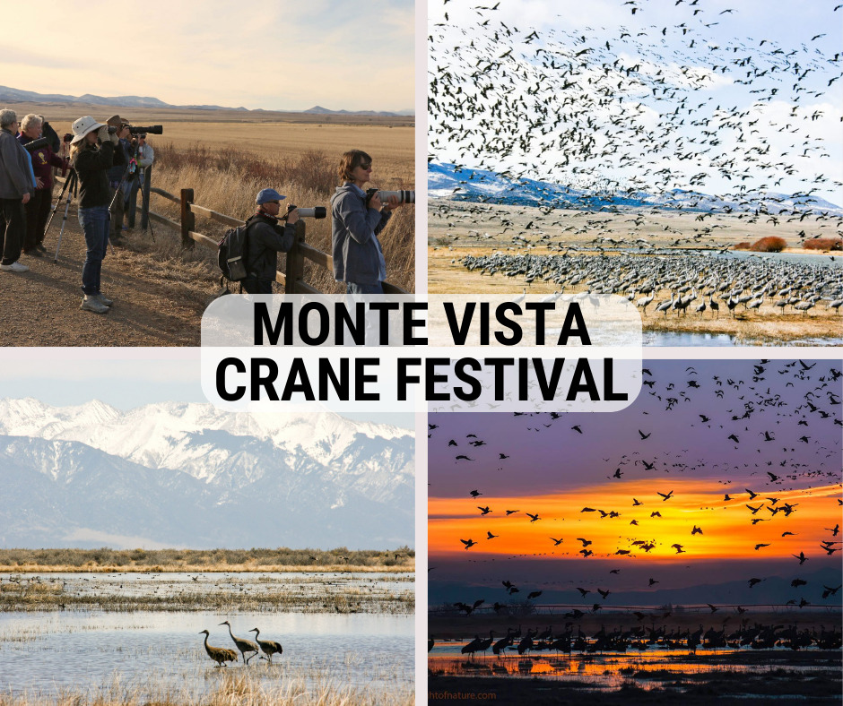 Monte Vista Crane Festival