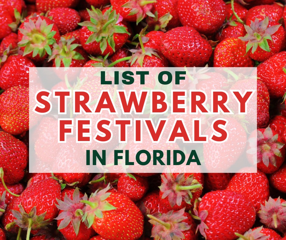 Strawberry Festivals in Florida