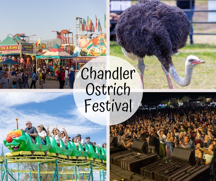 Chandler Ostrich Festival