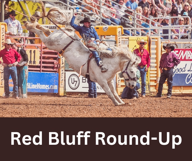 Red Bluff Round-Up