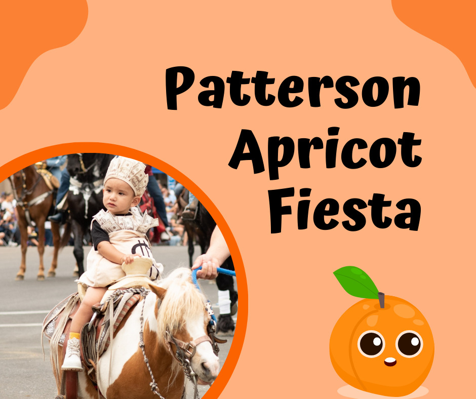 Patterson Apricot Fiesta