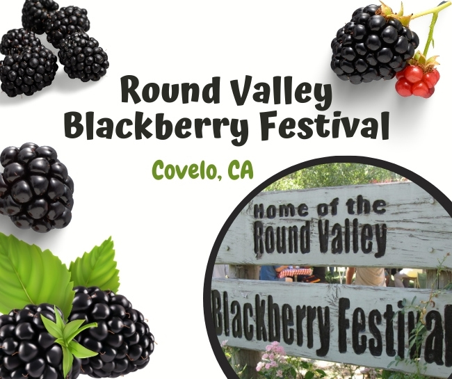 Round Valley Blackberry Festival in Covelo, CA