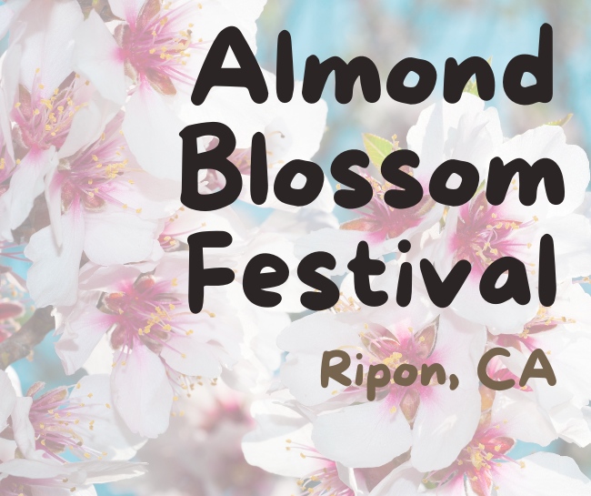 Almond Blossom Festival in Ripon, CA