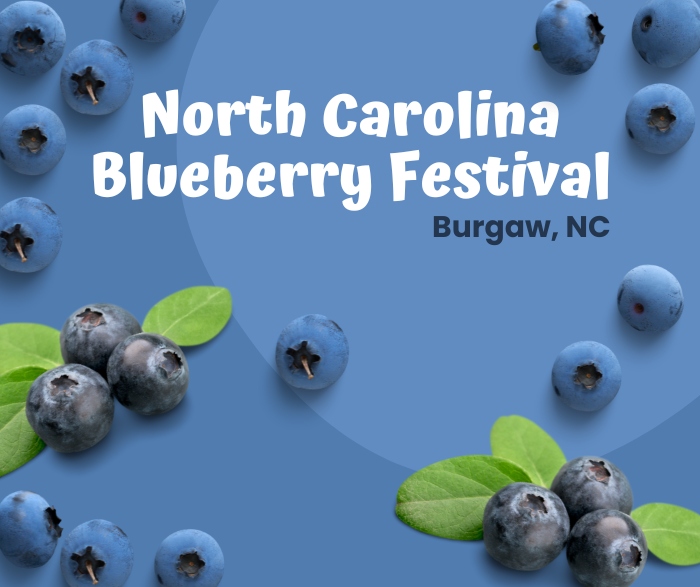 North Carolina Blueberry Festival in Burgaw, NC