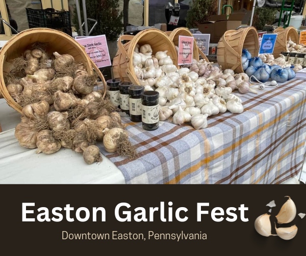 Easton Garlic Fest