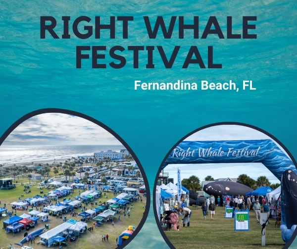 Right Whale Festival