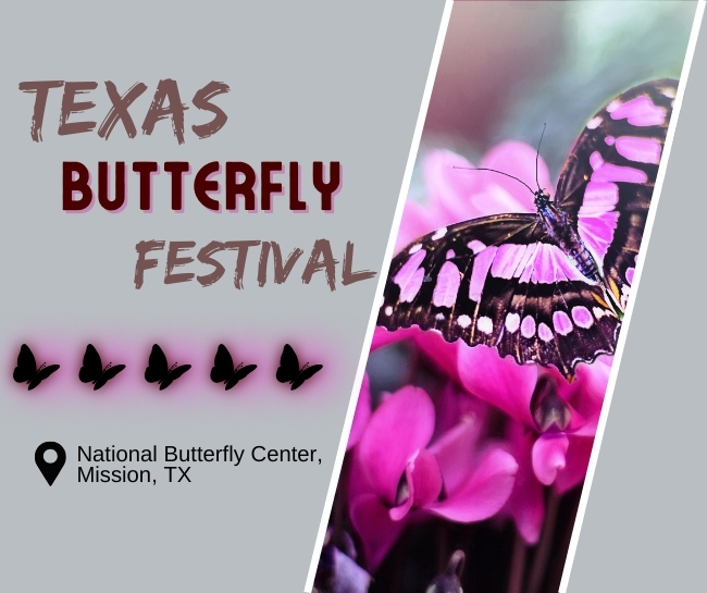 Texas Butterfly Festival in Mission, TX