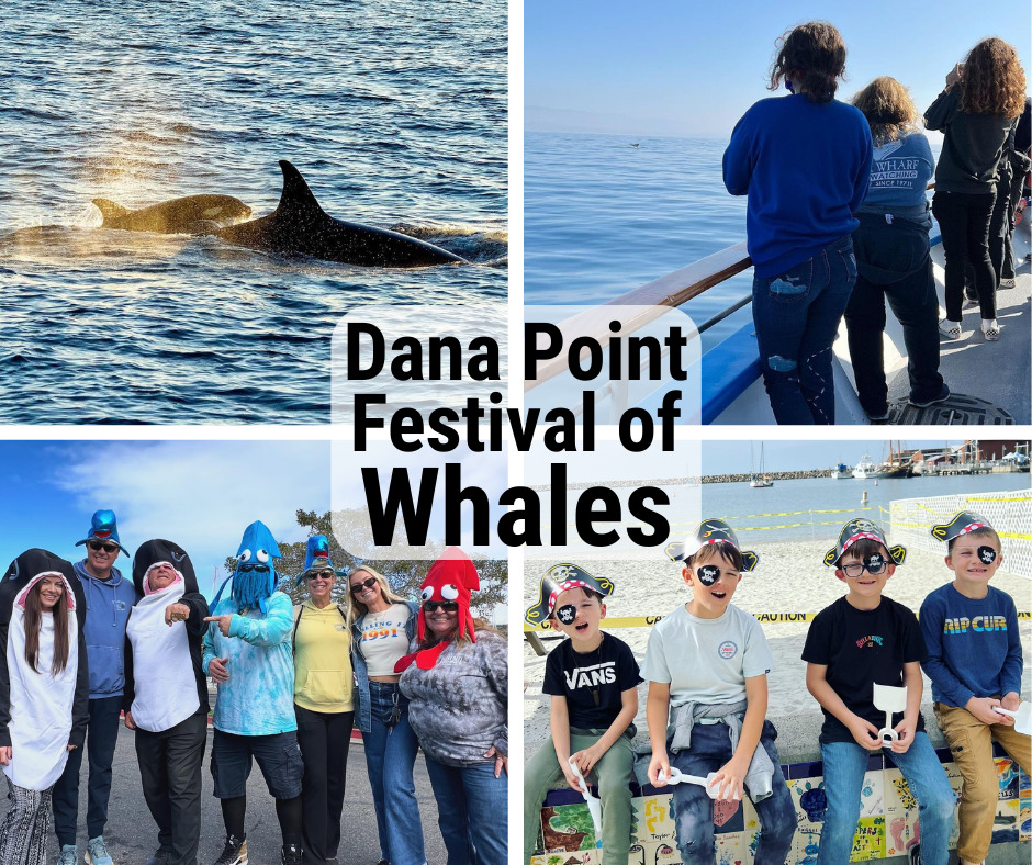 Dana Point Festival of Whales